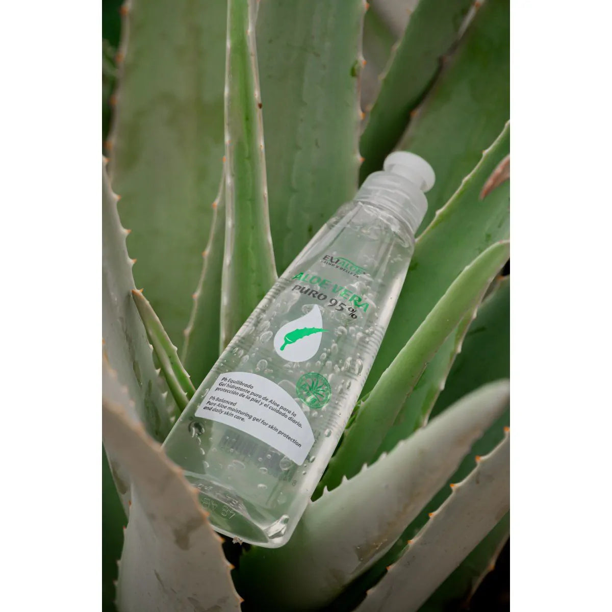 Gel Aloe Vera 95%