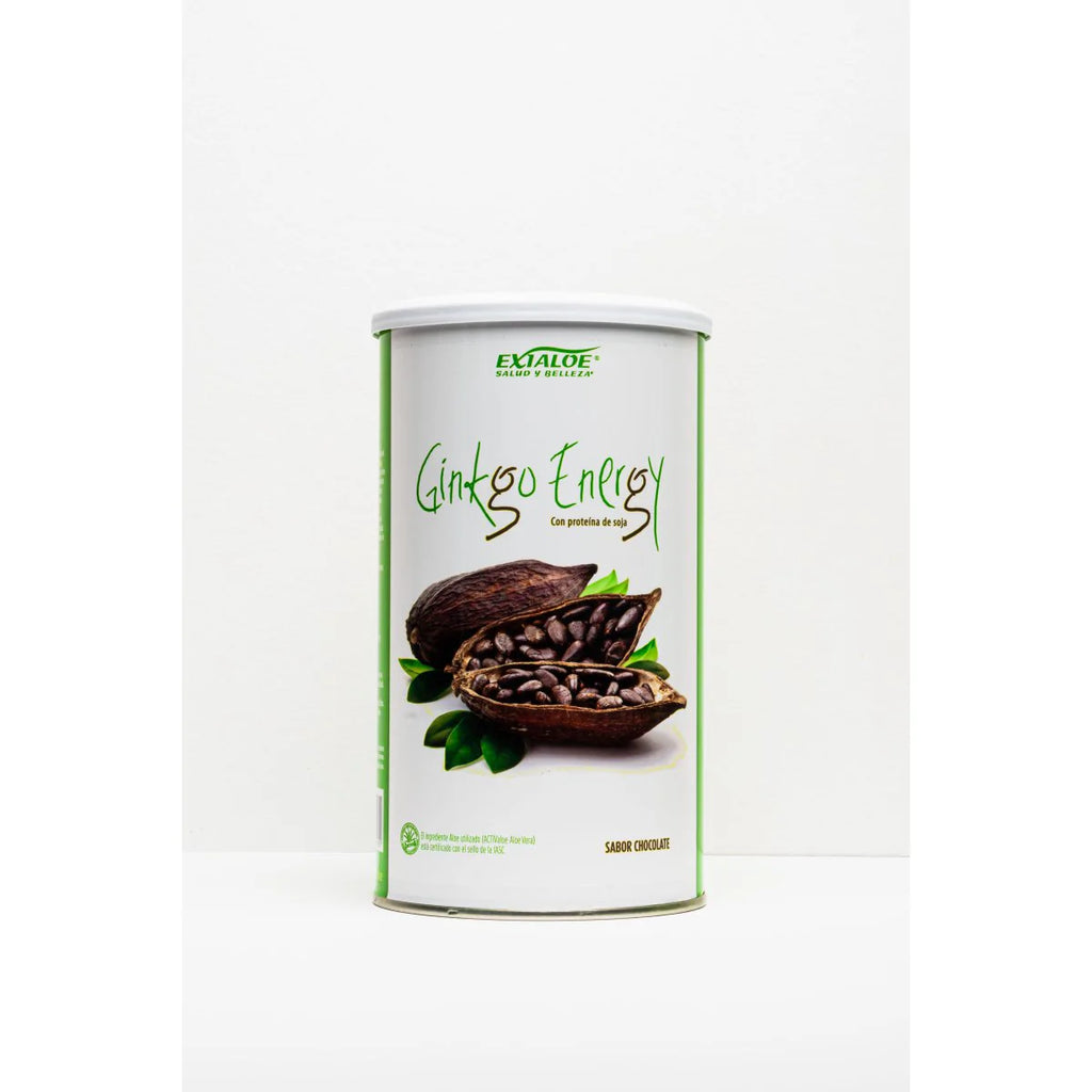 Ginkgo Energy Sabor Chocolate