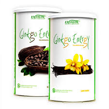 Ginkgo Energy Sabor Chocolate