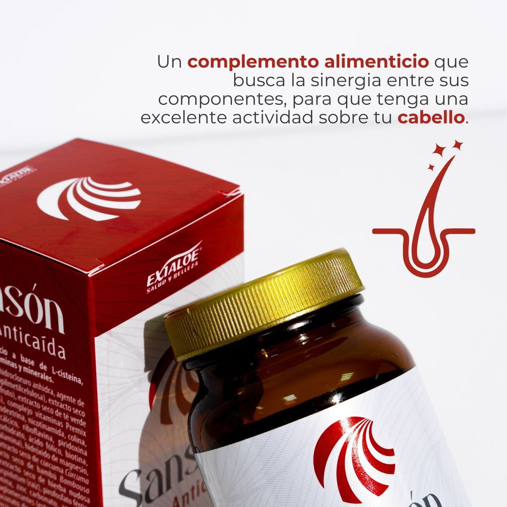 Sansón Anticaída
