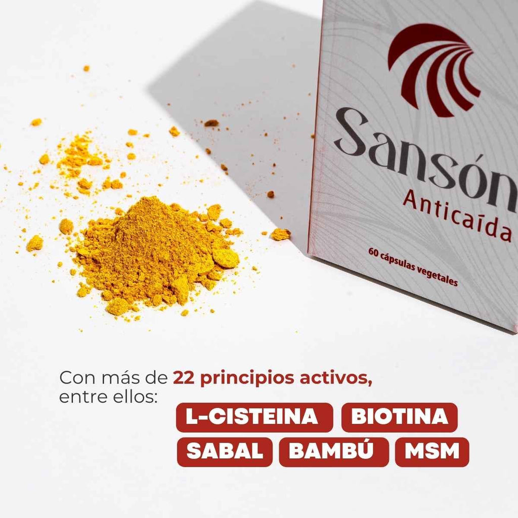 Sansón Anticaída